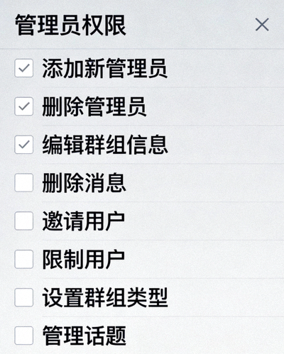 Telegram 电脑版群组管理员权限设置界面截图，展示各种可勾选的权限选项